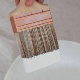 What Kind Of Brush Do You Use For Oil Paints?